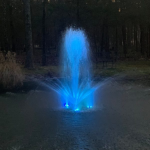 Pond Fountains: Why So Many Buyers Regret Their Pick